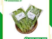 Túi Đựng Rau Sạch