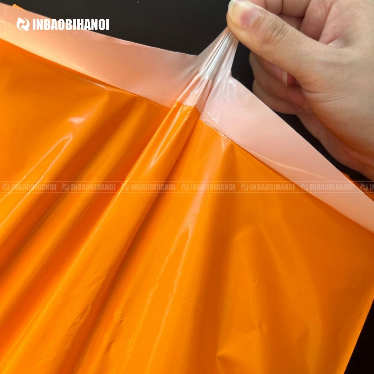 Túi nilon niêm phong 1 lớp