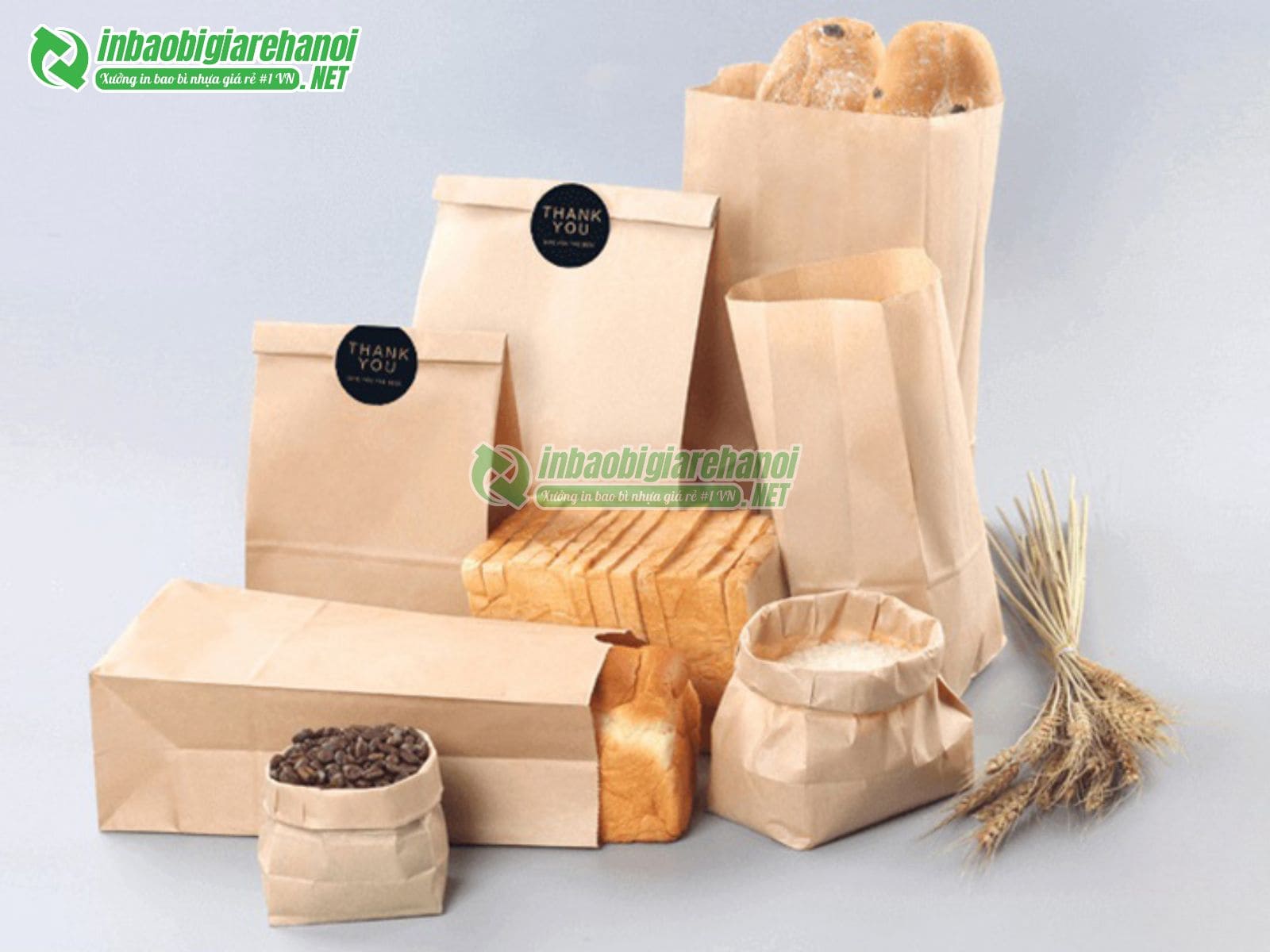 bao-bi-than-thien-voi-moi-truong-1