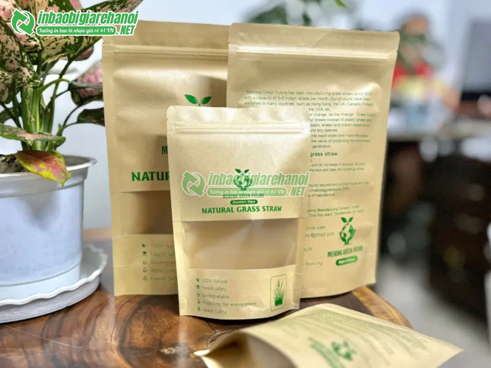 bao-bi-than-thien-voi-moi-truong-5