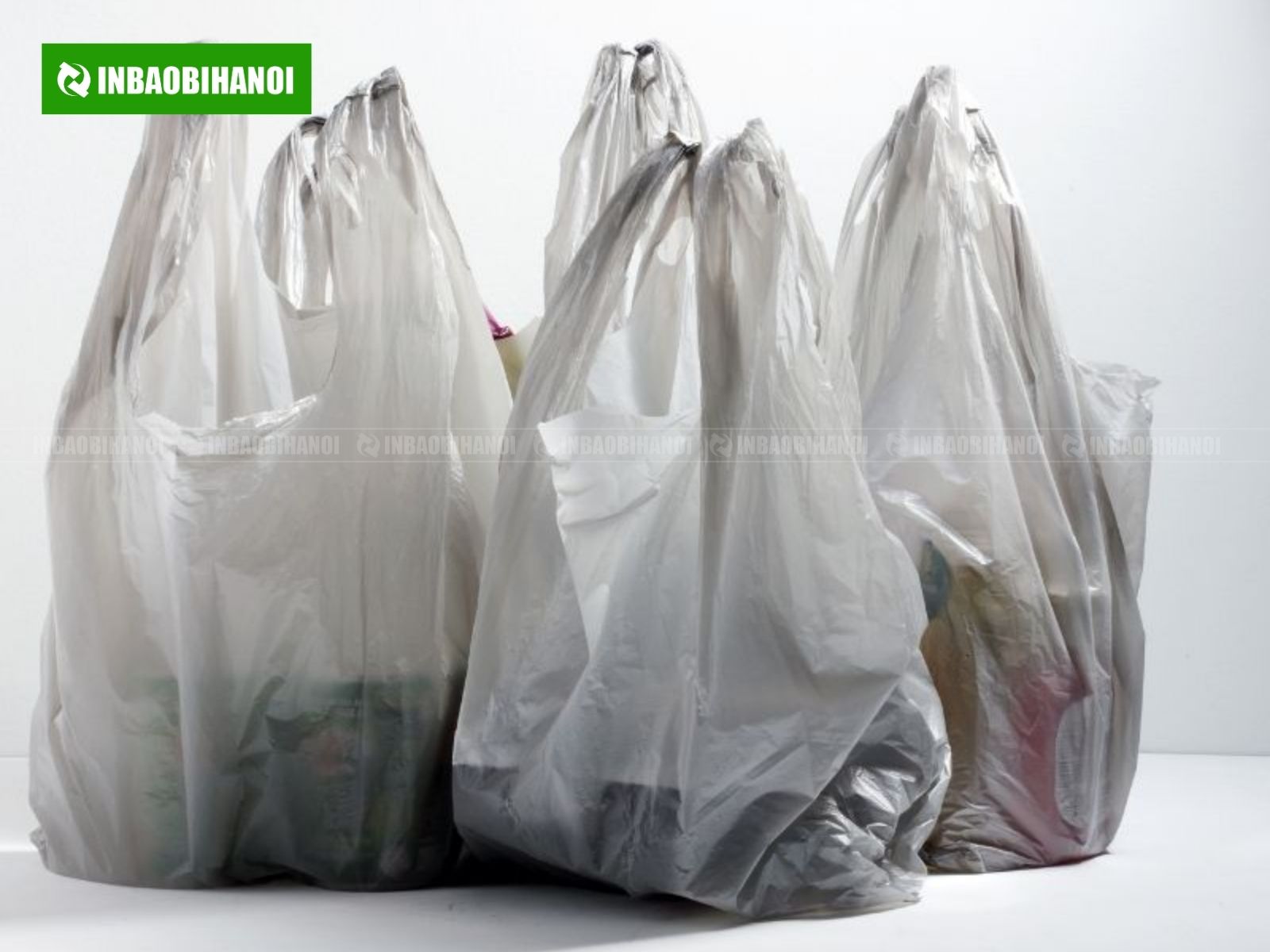 loi-ich-cua-tui-ni-long-2