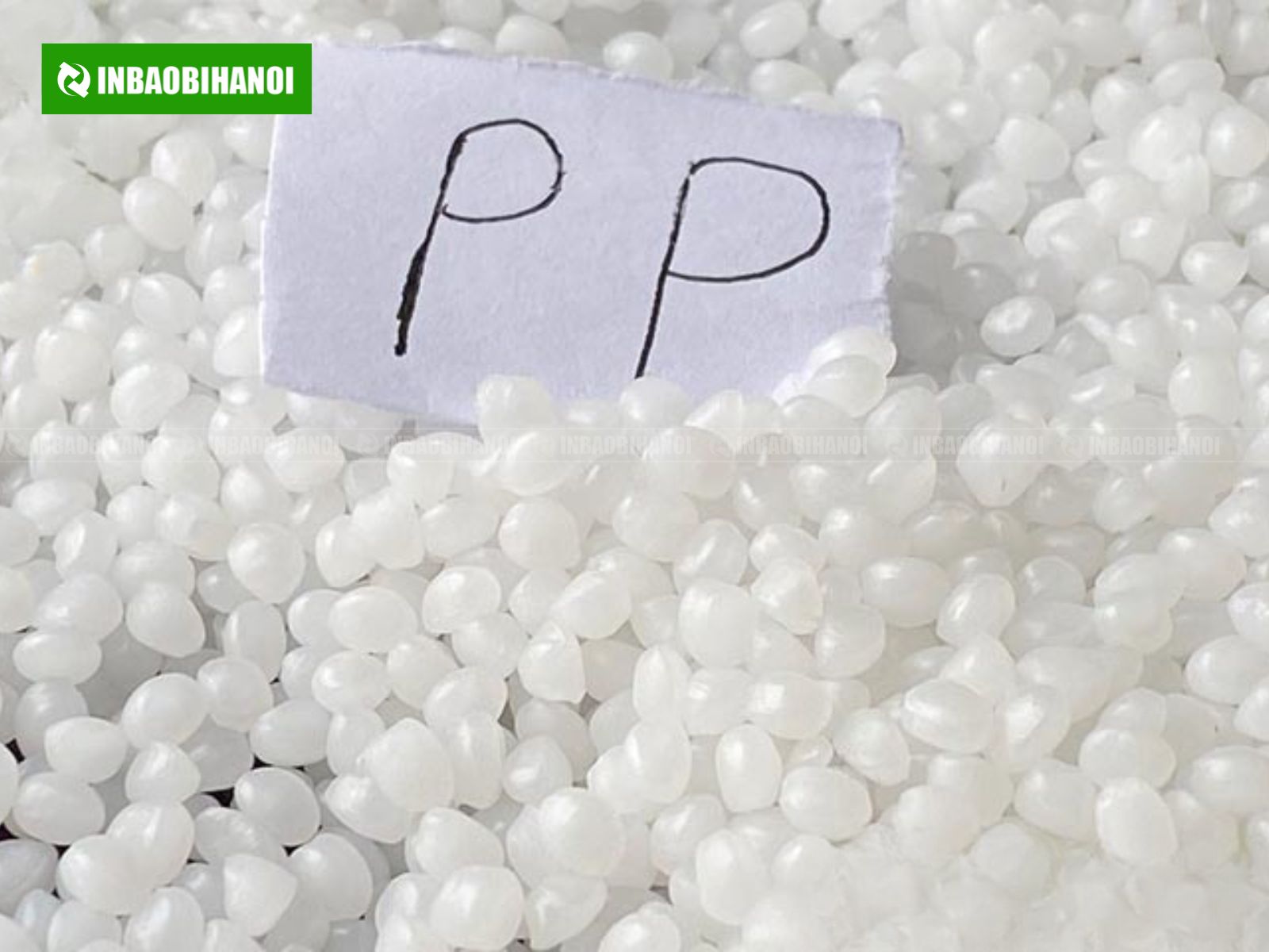 loi-ich-cua-tui-ni-long-5