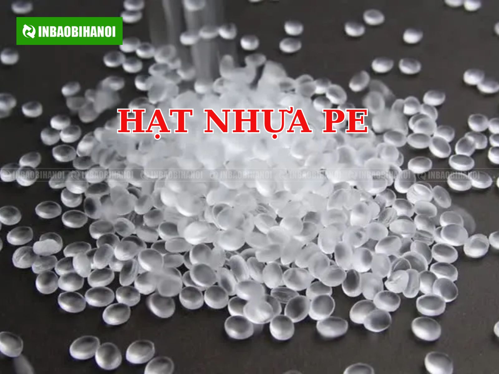 loi-ich-cua-tui-ni-long-6