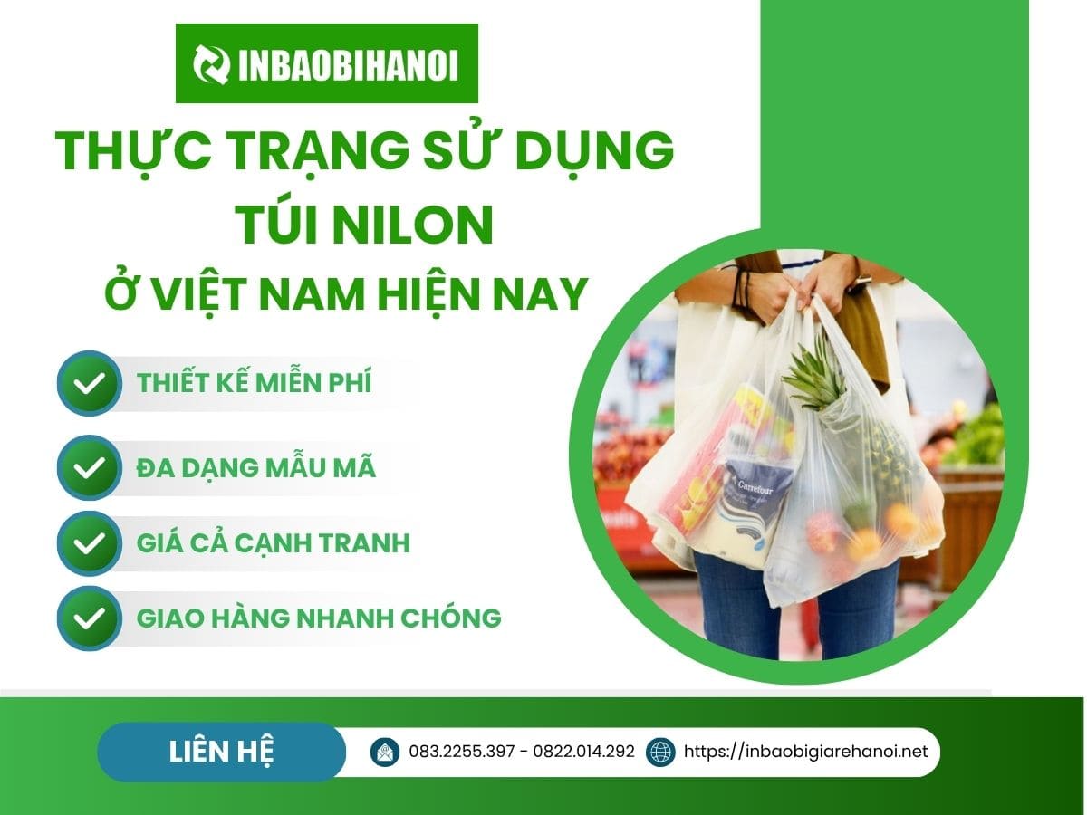 Thực Trạng Sử Dụng Túi Nilon ở Việt Nam Hiện Nay