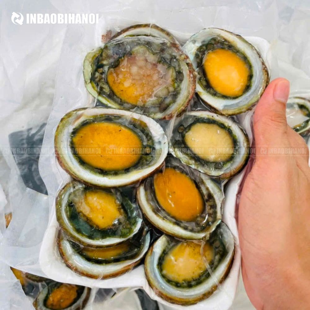 tui-hut-chan-khong-thuc-pham