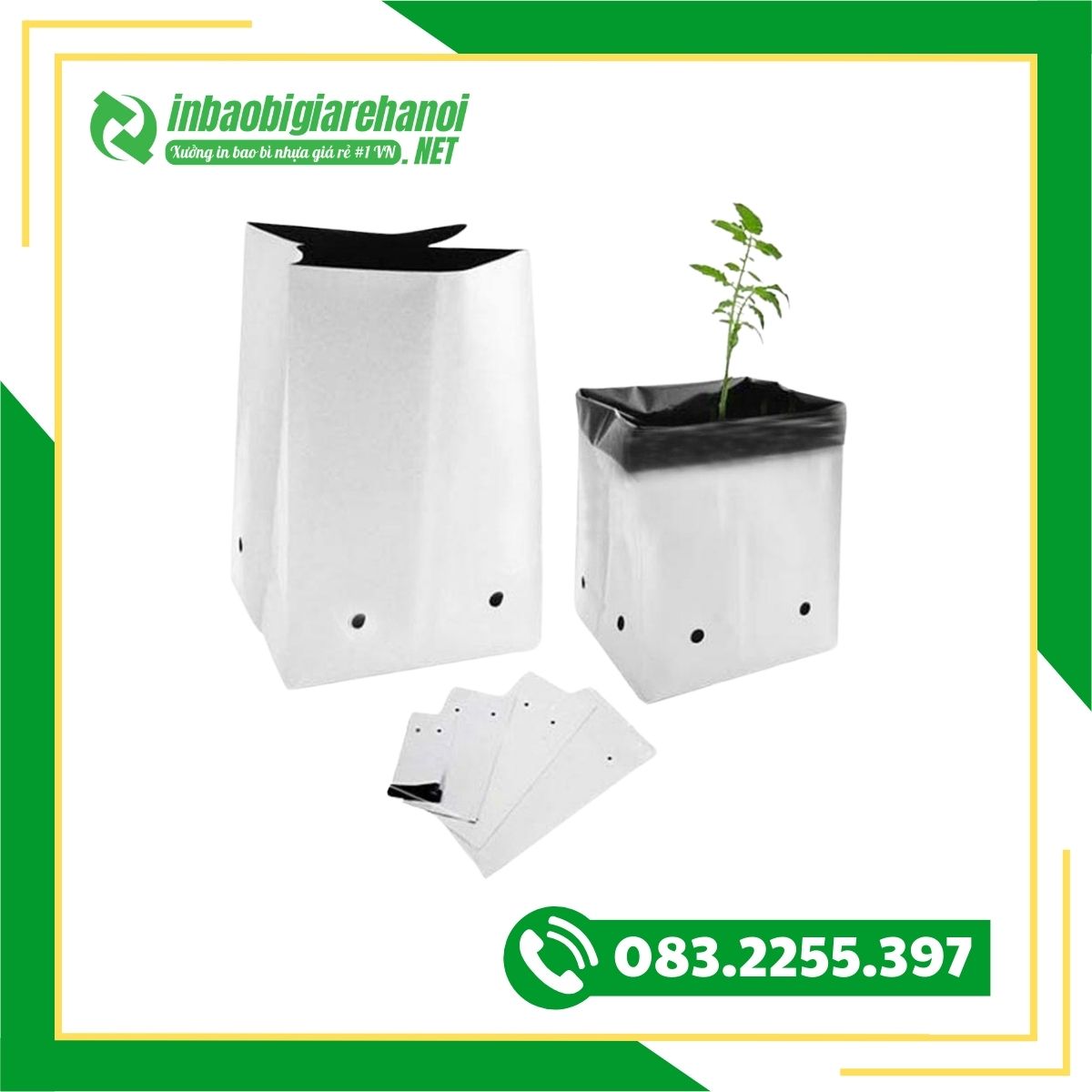 Túi PE Trồng Cầy