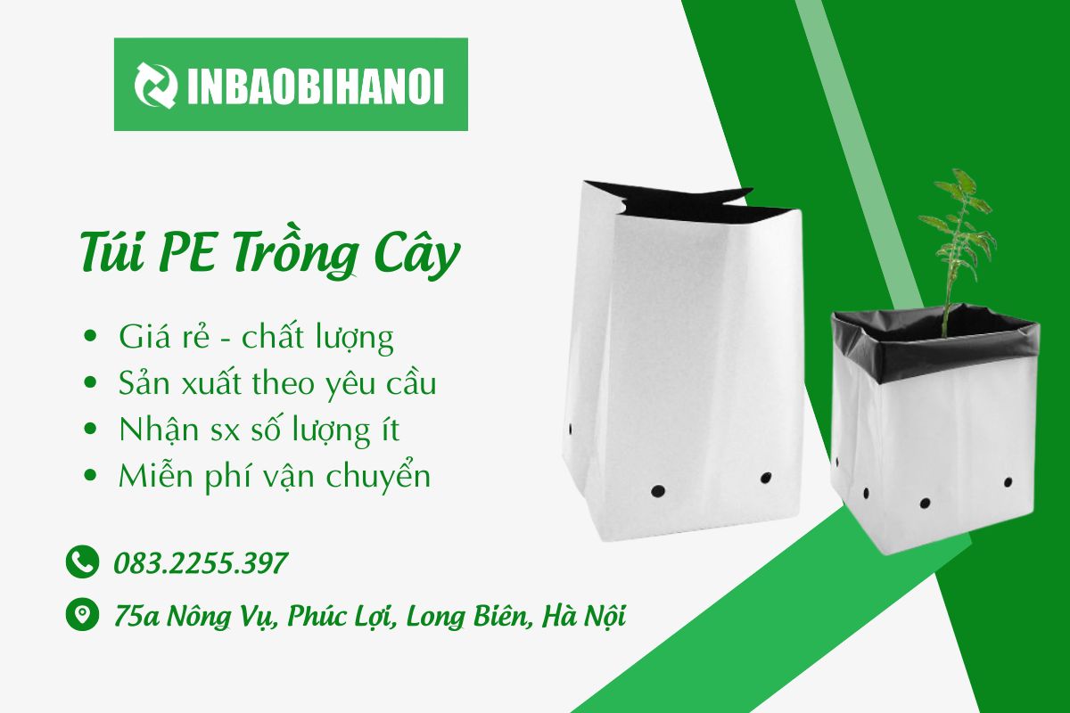 tui-pe-trong-cay_(1)