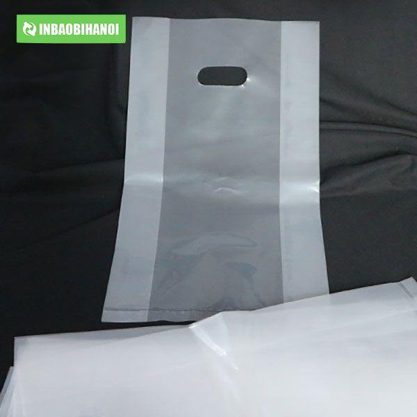 tui-pp-la-gi-san-xuat-in-tui-nhua-pp-bong-kinh-trong-suot_(12)