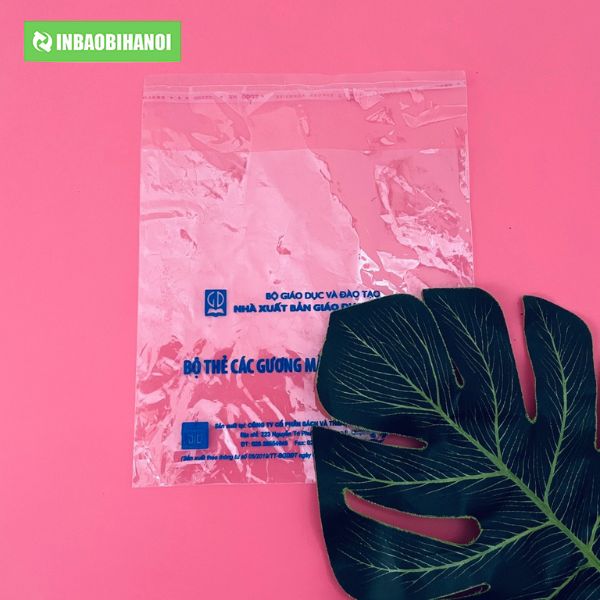 tui-pp-la-gi-san-xuat-in-tui-nhua-pp-bong-kinh-trong-suot_(6)