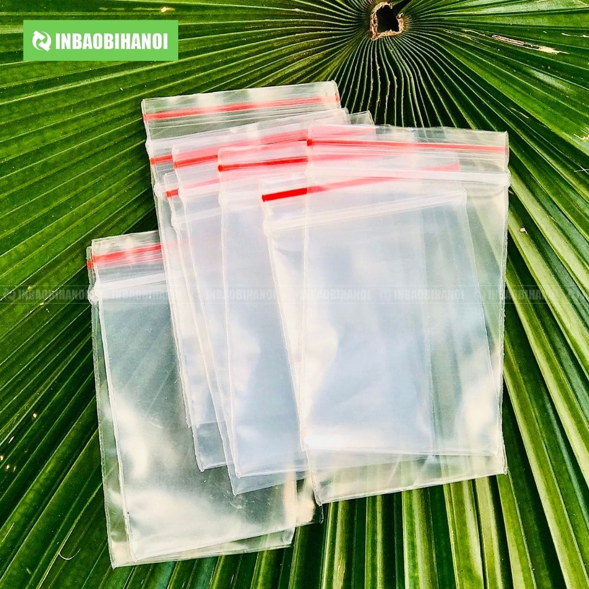 tui-zipper-chi-do-10